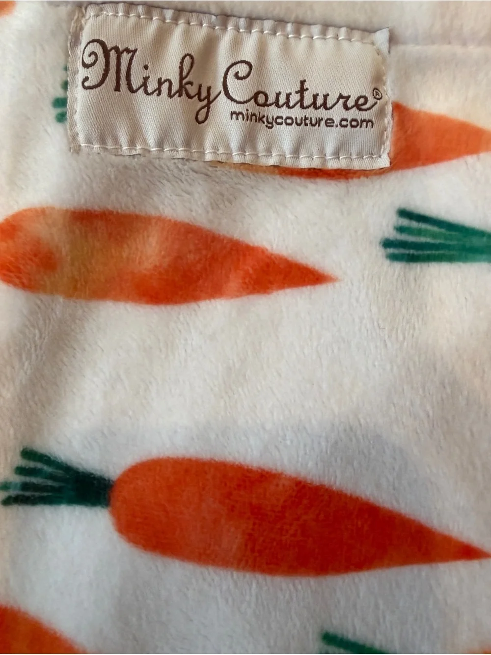 Minky Couture Carrot Print Pillowcase - Orange & Teal